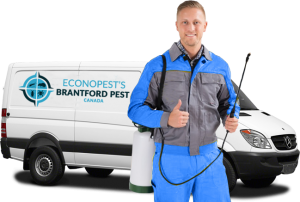home-page-image-brantfor-pest