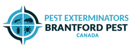 Brantford Pest