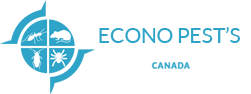 Brantford Pest