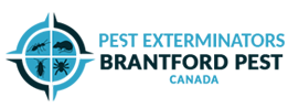 Brantford Pest Brantford Pest